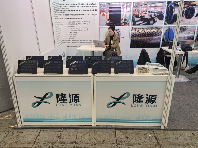 上海寶馬展于今天在上海國(guó)際博覽中心拉開(kāi)帷幕！