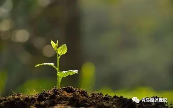 <b>這個(gè)植樹(shù)節，你種樹(shù)了嗎？</b>